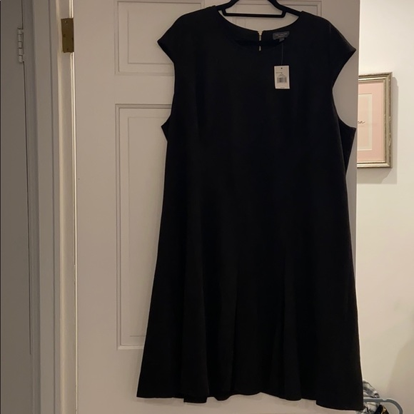 NWT Black Faux Suede Dress from The Limited 2X - Picture 2 of 5